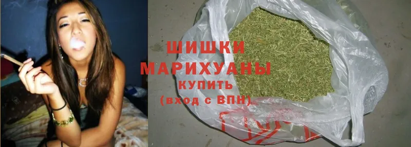 Шишки марихуана THC 21%  купить наркотик  Ершов 